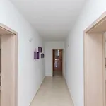 Apartman Cherry Garden